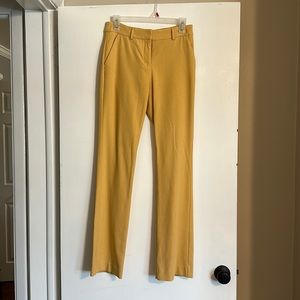 Yellow stretch boot cut dress pants
